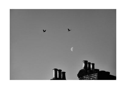 No.29 - Pigeons, Moon & Chimneys