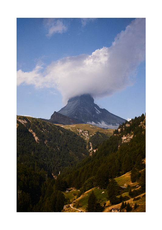 No.7 - Shy Matterhorn